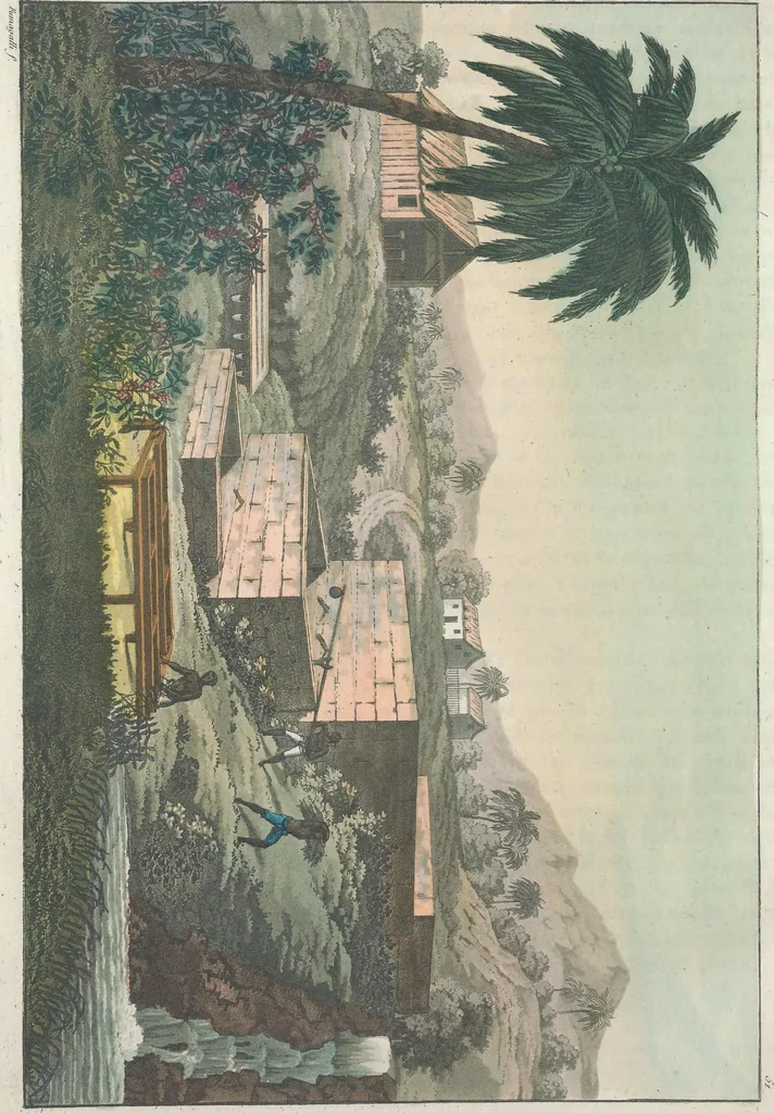 An illustration from Le Costume ancien et moderne ; ou, Histoire du gouvernement, de la milice, de la religion, des arts, sciences et usages de tous les peuples anciens et modernes, d'après les monumens de l'antiquité et accompagné de dessins analogues au sujet, 1815, leaf 533