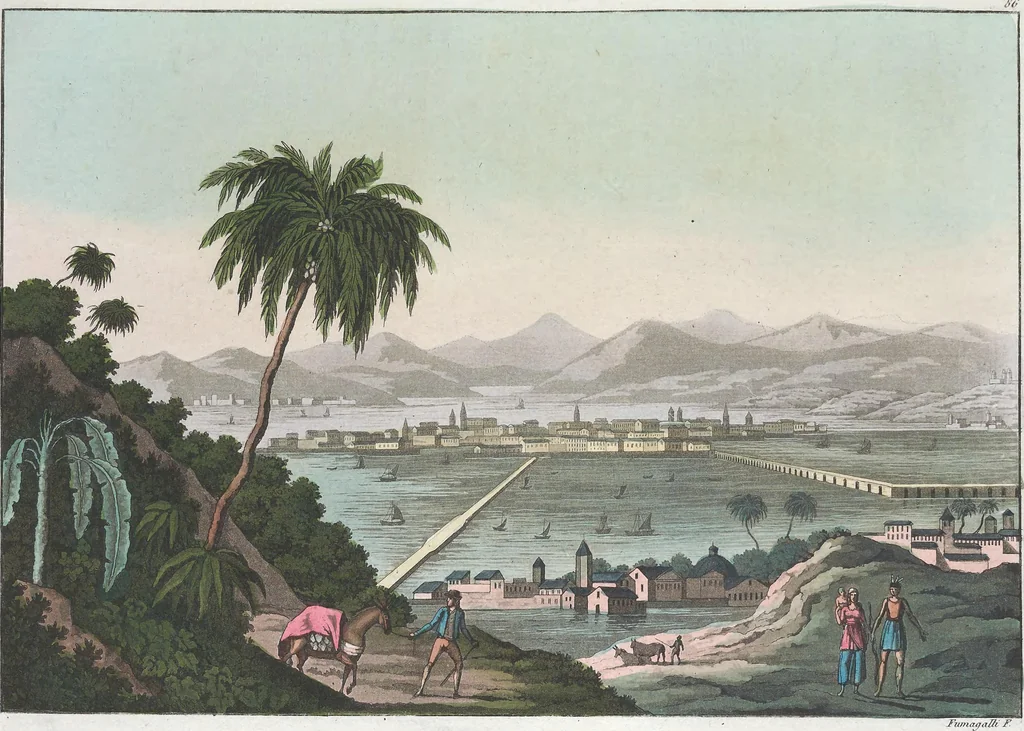An illustration from Le Costume ancien et moderne ; ou, Histoire du gouvernement, de la milice, de la religion, des arts, sciences et usages de tous les peuples anciens et modernes, d'après les monumens de l'antiquité et accompagné de dessins analogues au sujet, 1815, leaf 790