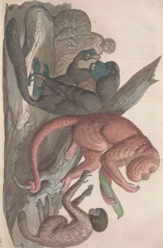 An illustration from Le Costume ancien et moderne ; ou, Histoire du gouvernement, de la milice, de la religion, des arts, sciences et usages de tous les peuples anciens et modernes, d'après les monumens de l'antiquité et accompagné de dessins analogues au sujet, 1815, leaf 23