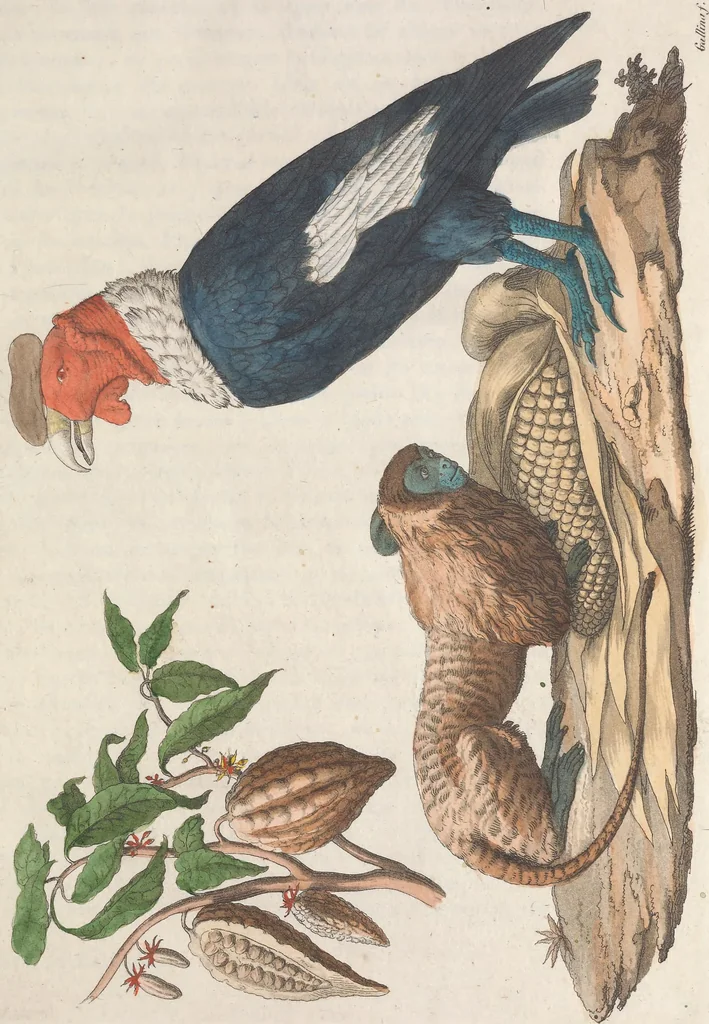 An illustration from Le Costume ancien et moderne ; ou, Histoire du gouvernement, de la milice, de la religion, des arts, sciences et usages de tous les peuples anciens et modernes, d'après les monumens de l'antiquité et accompagné de dessins analogues au sujet, 1815, leaf 26