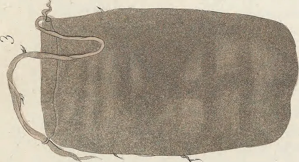 An illustration from Le Costume ancien et moderne ; ou, Histoire du gouvernement, de la milice, de la religion, des arts, sciences et usages de tous les peuples anciens et modernes, d'après les monumens de l'antiquité et accompagné de dessins analogues au sujet, 1815, leaf 450