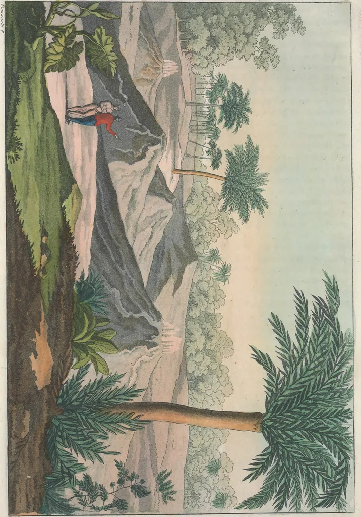 An illustration from Le Costume ancien et moderne ; ou, Histoire du gouvernement, de la milice, de la religion, des arts, sciences et usages de tous les peuples anciens et modernes, d'après les monumens de l'antiquité et accompagné de dessins analogues au sujet, 1815, leaf 69