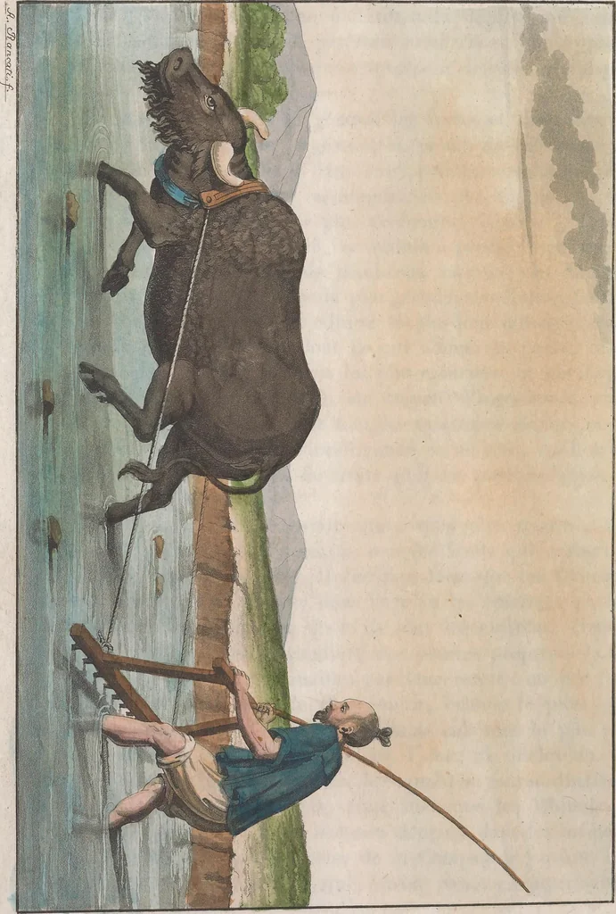 An illustration from Le Costume ancien et moderne ; ou, Histoire du gouvernement, de la milice, de la religion, des arts, sciences et usages de tous les peuples anciens et modernes, d'après les monumens de l'antiquité et accompagné de dessins analogues au sujet, 1815, leaf 298