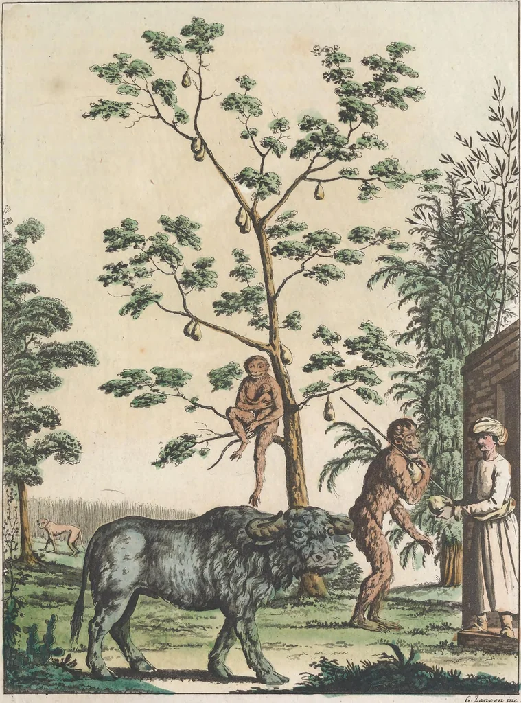 An illustration from Le Costume ancien et moderne ; ou, Histoire du gouvernement, de la milice, de la religion, des arts, sciences et usages de tous les peuples anciens et modernes, d'après les monumens de l'antiquité et accompagné de dessins analogues au sujet, 1815, leaf 34