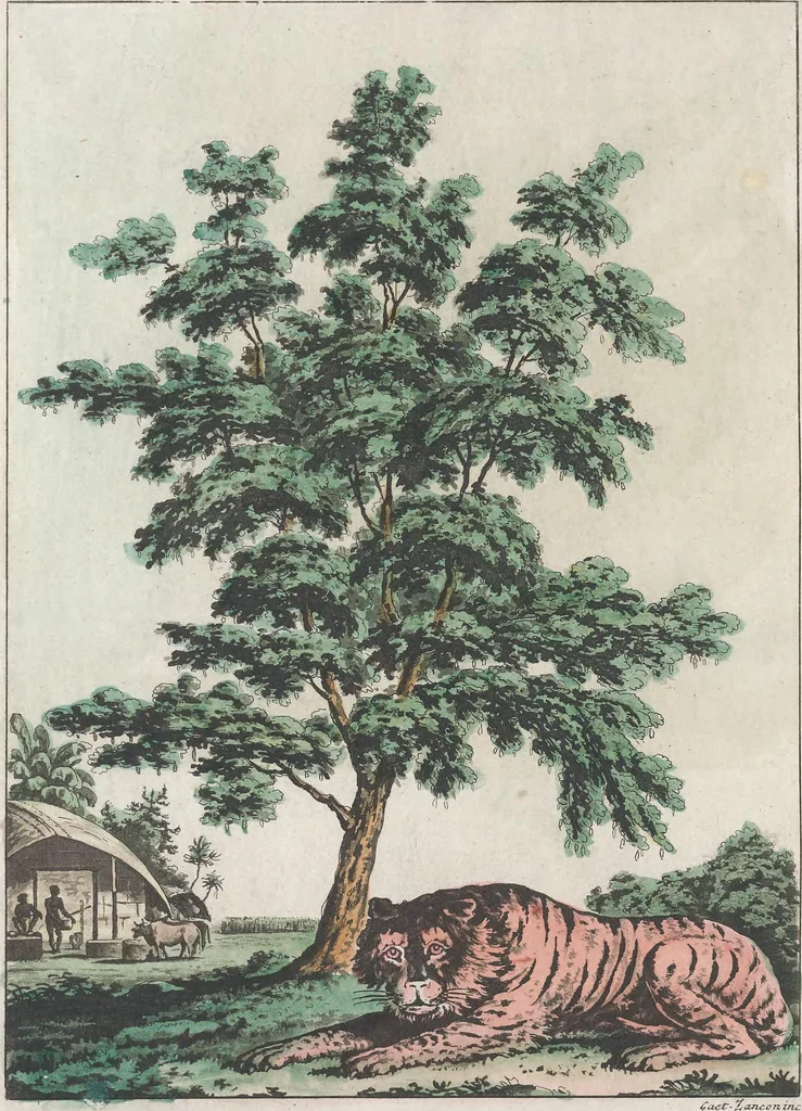 An illustration from Le Costume ancien et moderne ; ou, Histoire du gouvernement, de la milice, de la religion, des arts, sciences et usages de tous les peuples anciens et modernes, d'après les monumens de l'antiquité et accompagné de dessins analogues au sujet, 1815, leaf 37