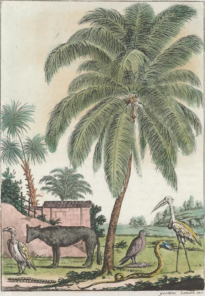 An illustration from Le Costume ancien et moderne ; ou, Histoire du gouvernement, de la milice, de la religion, des arts, sciences et usages de tous les peuples anciens et modernes, d'après les monumens de l'antiquité et accompagné de dessins analogues au sujet, 1815, leaf 41