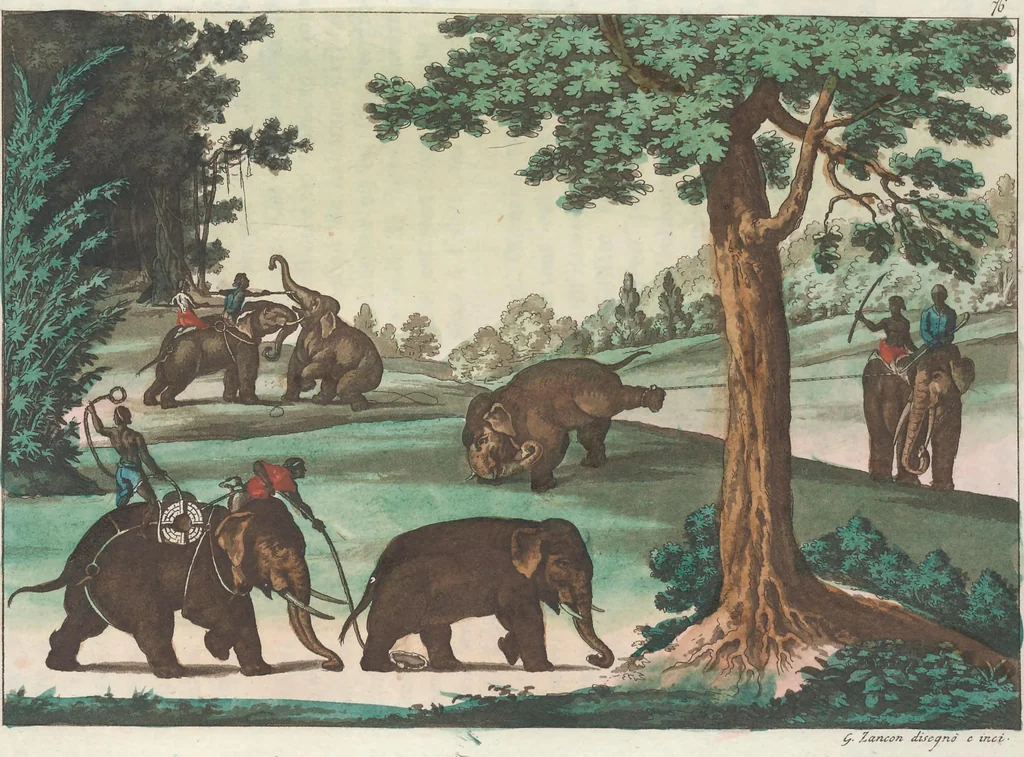 An illustration from Le Costume ancien et moderne ; ou, Histoire du gouvernement, de la milice, de la religion, des arts, sciences et usages de tous les peuples anciens et modernes, d'après les monumens de l'antiquité et accompagné de dessins analogues au sujet, 1815, leaf 561