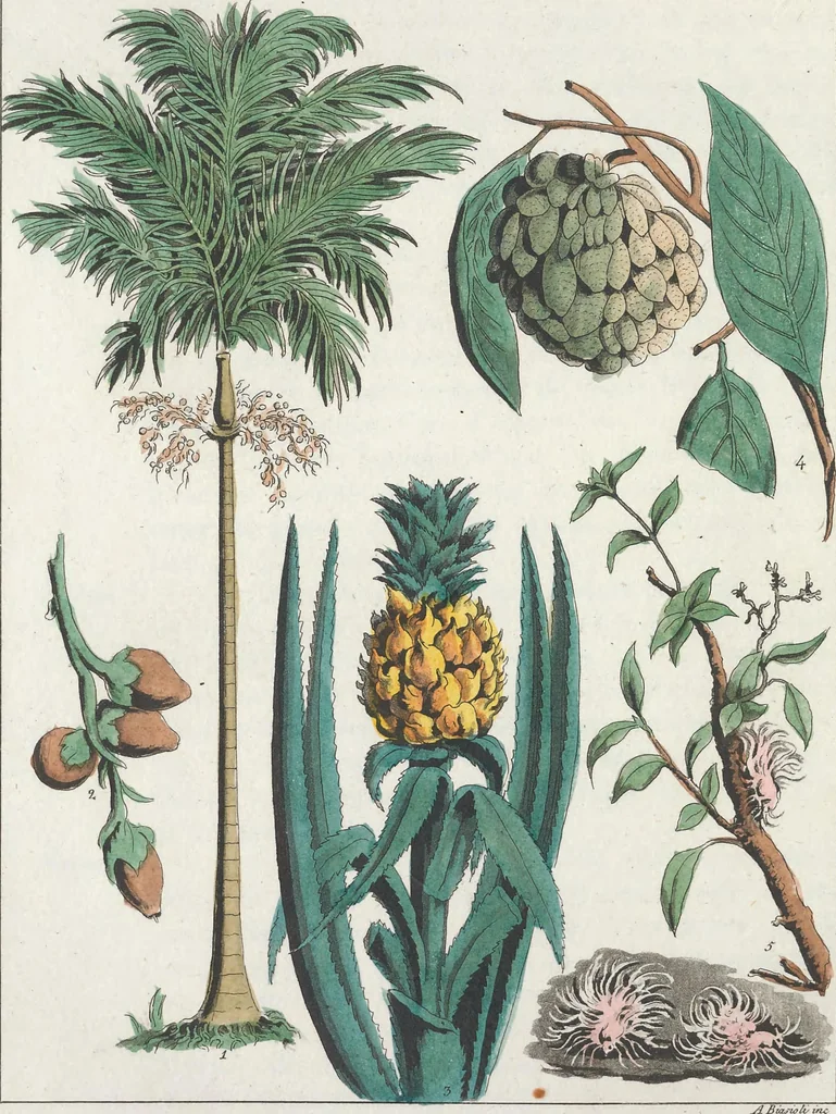 An illustration from Le Costume ancien et moderne ; ou, Histoire du gouvernement, de la milice, de la religion, des arts, sciences et usages de tous les peuples anciens et modernes, d'après les monumens de l'antiquité et accompagné de dessins analogues au sujet, 1815, leaf 587
