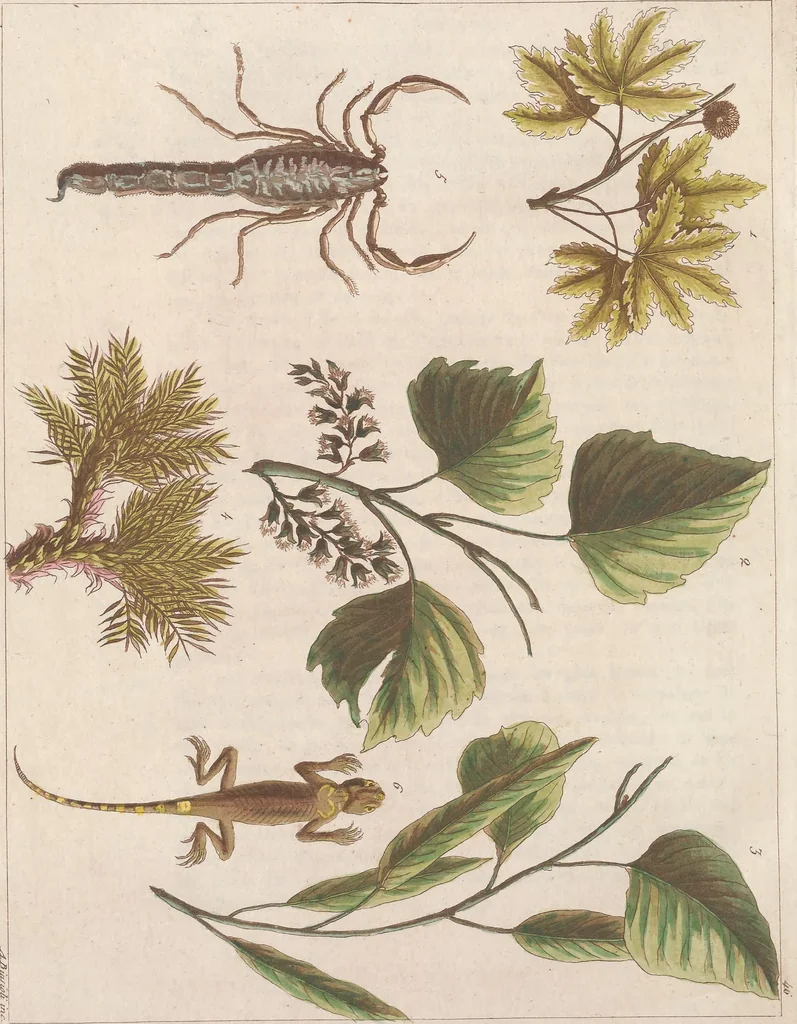 An illustration from Le Costume ancien et moderne ; ou, Histoire du gouvernement, de la milice, de la religion, des arts, sciences et usages de tous les peuples anciens et modernes, d'après les monumens de l'antiquité et accompagné de dessins analogues au sujet, 1815, leaf 493