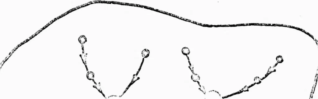An illustration from ANALYSIS AND OPTIMIZATION OF STORE-AND-FORWARD COMPUTER NETWORKS, 1970, leaf 14