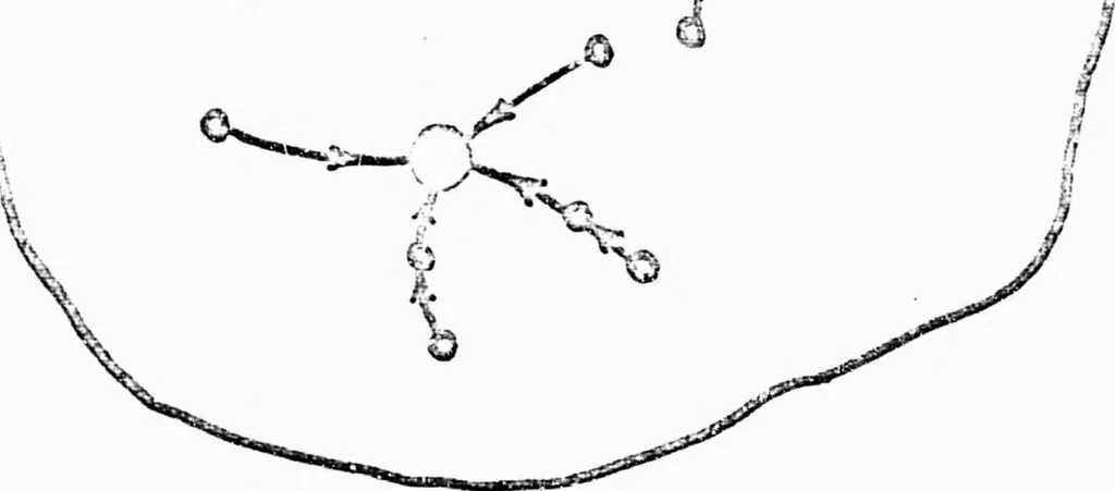 An illustration from ANALYSIS AND OPTIMIZATION OF STORE-AND-FORWARD COMPUTER NETWORKS, 1970, leaf 14
