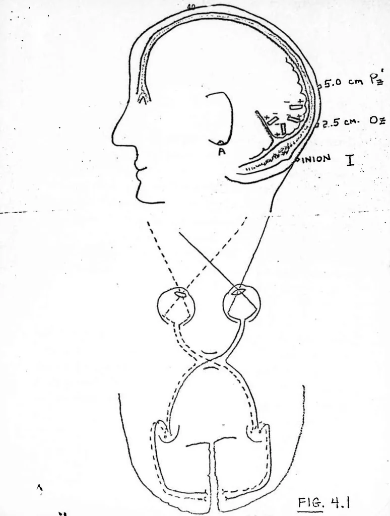 An illustration from Biocybernetic Control in Man-Machine Interaction, 1976, leaf 49