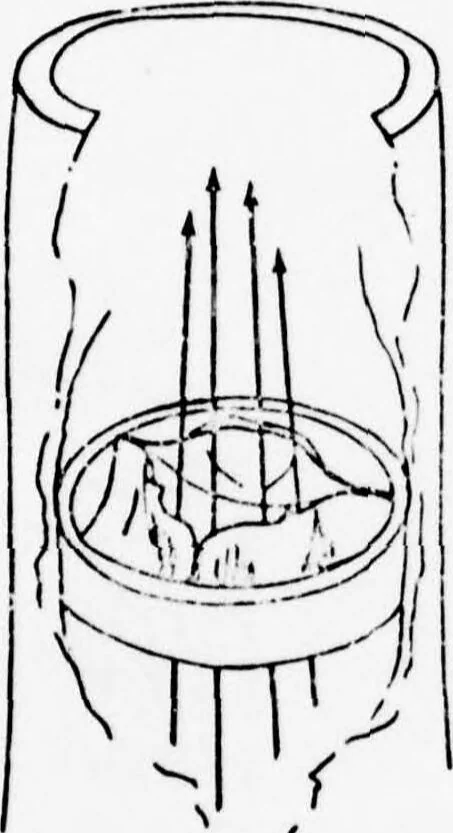 An illustration from An Application of Computer Graphics: Two Concurrent Investigations Within the Medical Field,, 1971, leaf 35