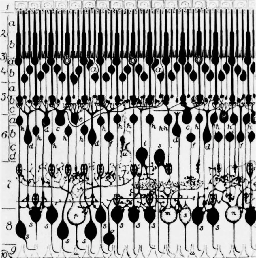 An illustration from Digital Picture Processing and Psychophysics: A Study of Brightness Perception,, 1973, leaf 34