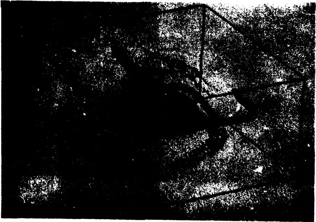 An illustration from Computer Graphics for Scientific Applications, 1982, leaf 66