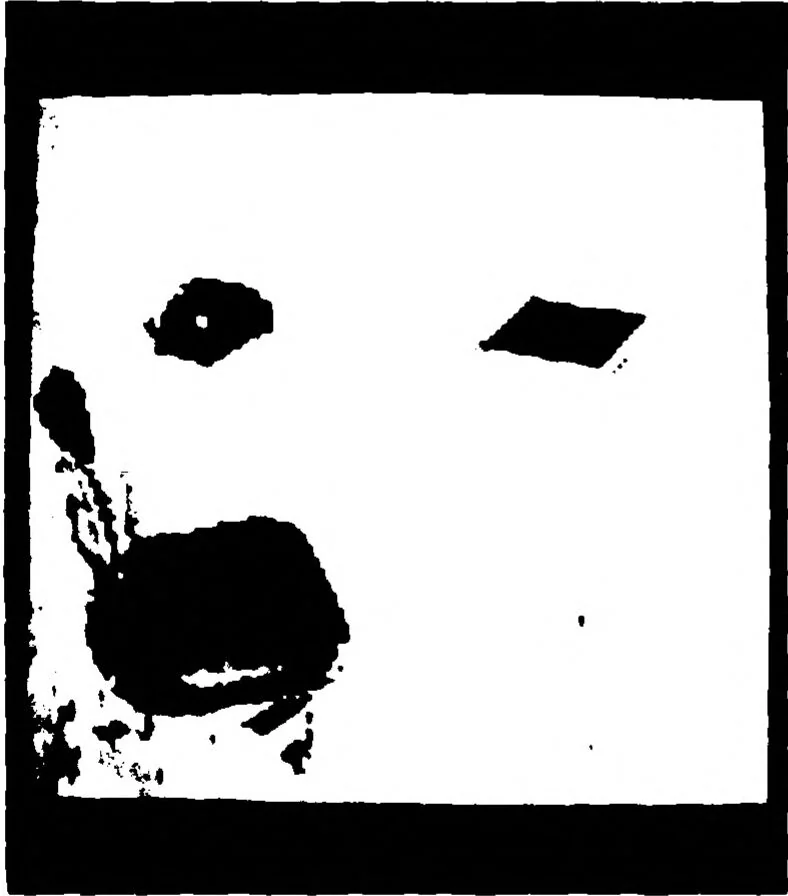 An illustration from Artificial Intelligence -- Research and Applications, 1976, leaf 24
