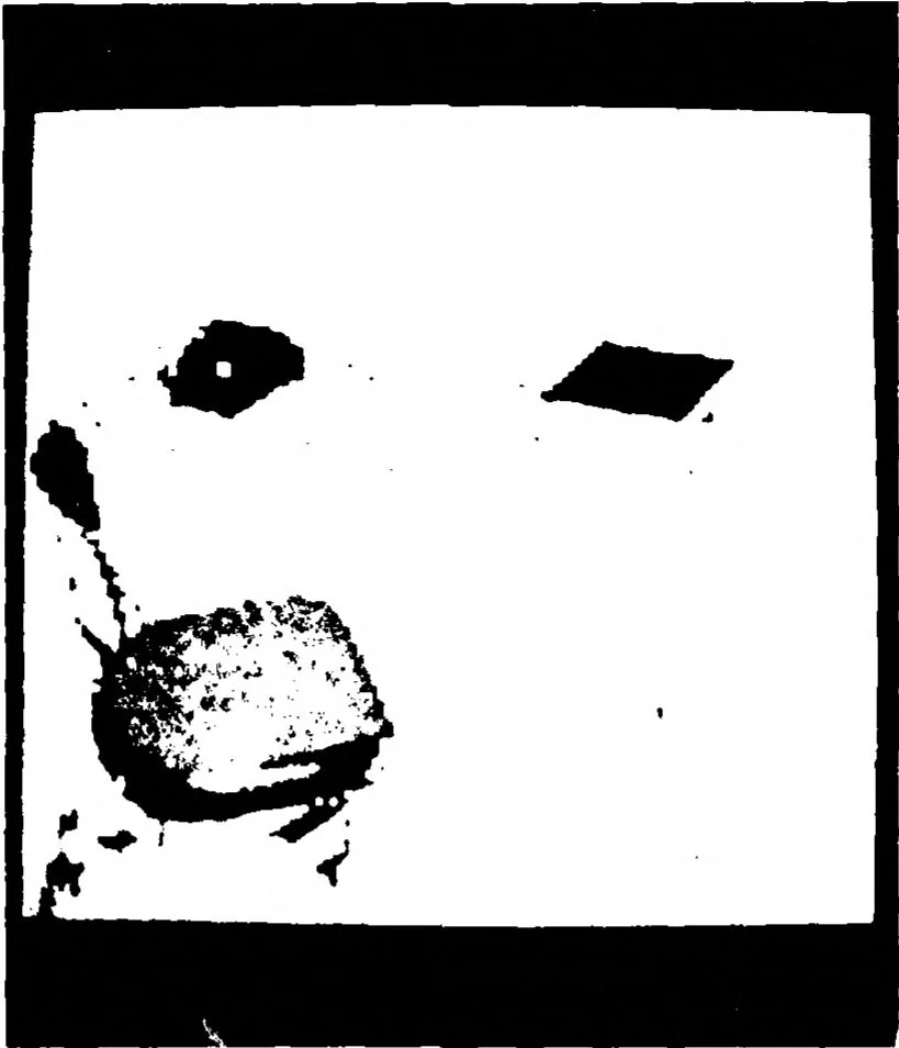 An illustration from Artificial Intelligence -- Research and Applications, 1976, leaf 28