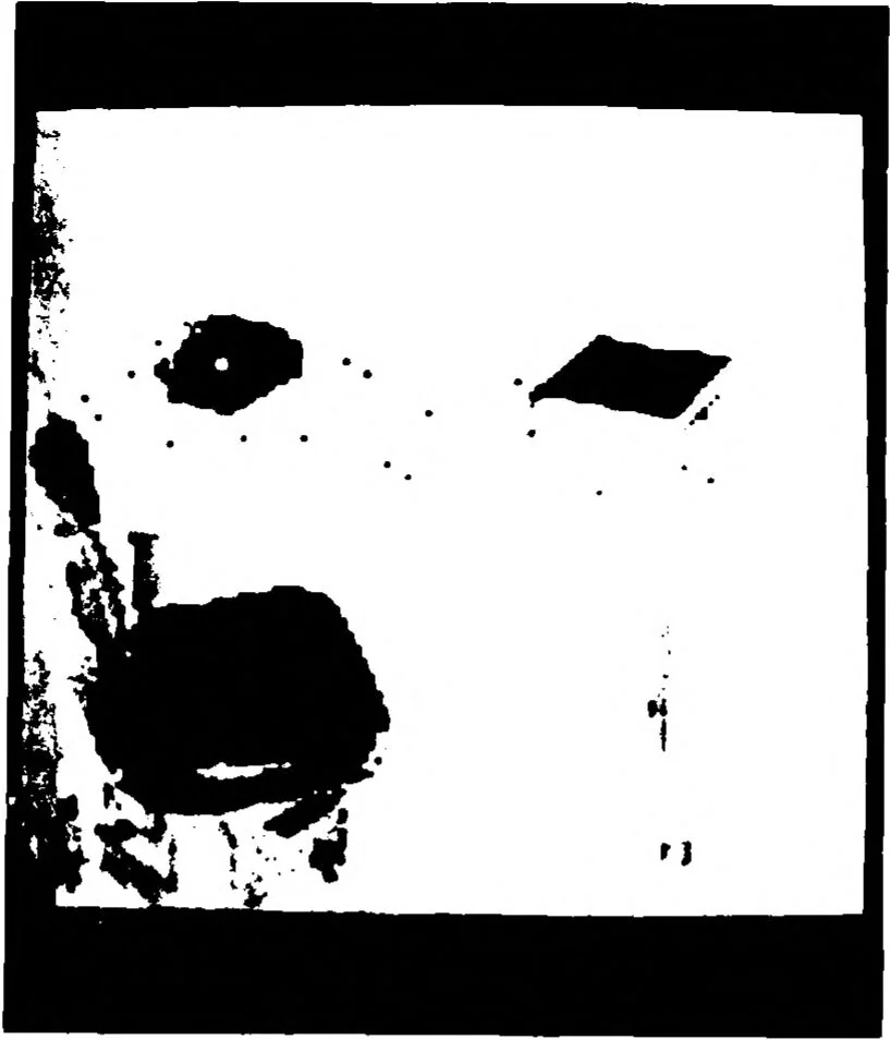 An illustration from Artificial Intelligence -- Research and Applications, 1976, leaf 29