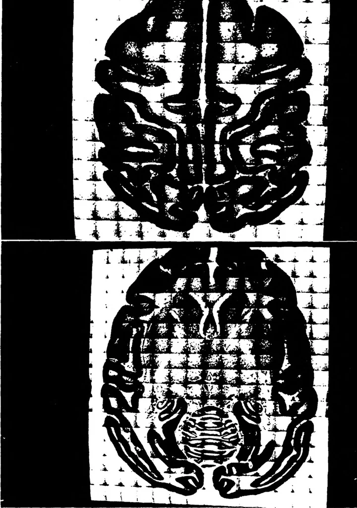 An illustration from Three-Dimensional Computer Graphics Brain-Mapping Project, 1988, leaf 85