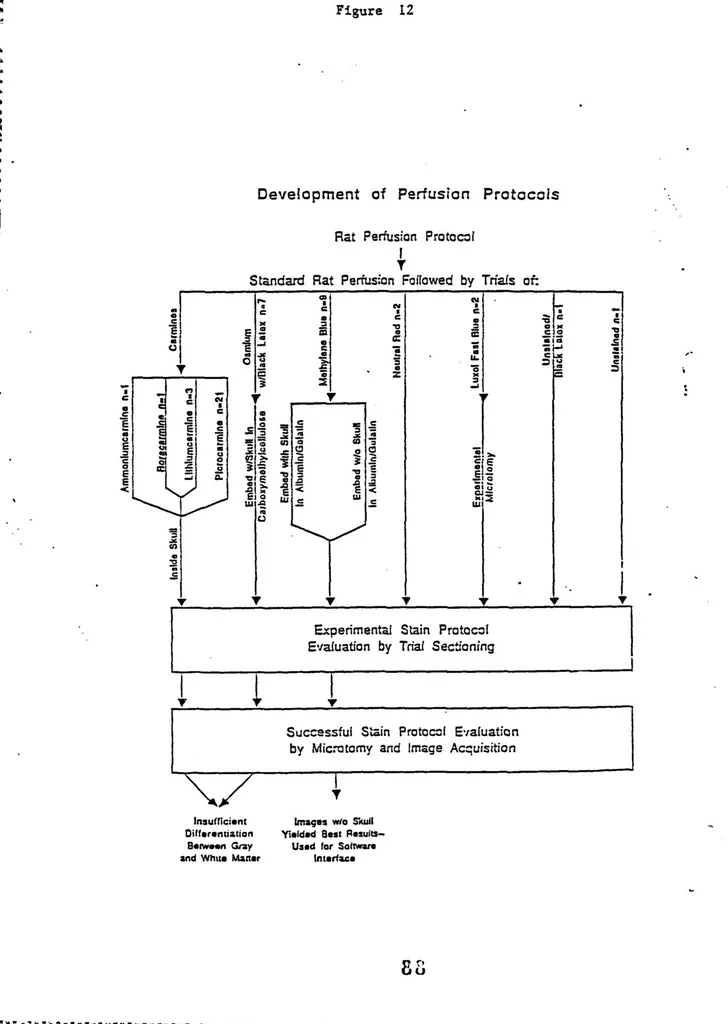 An illustration from Three-Dimensional Computer Graphics Brain-Mapping Project, 1988, leaf 90