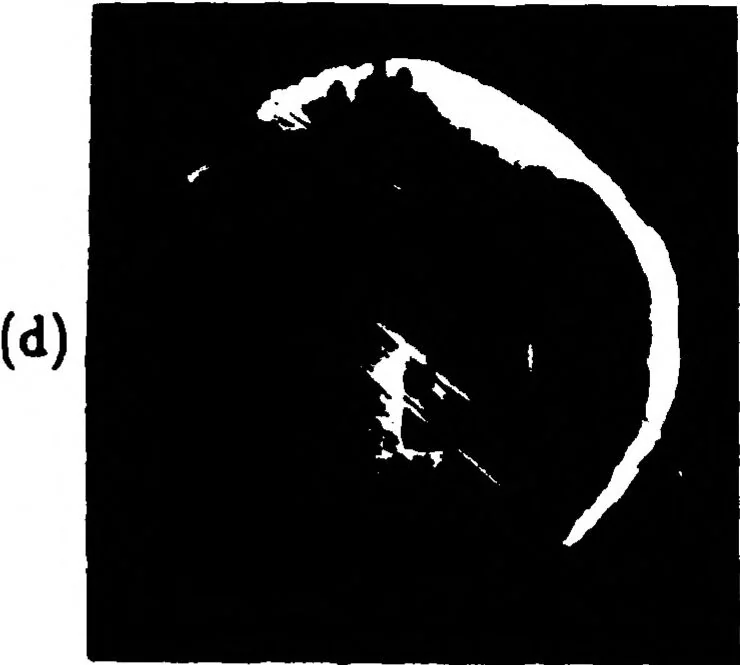 An illustration from Real-Time Optical Image Processing Techniques, 1988, leaf 172