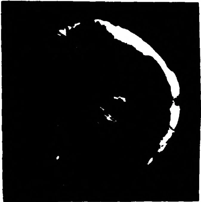 An illustration from Real-Time Optical Image Processing Techniques, 1988, leaf 172