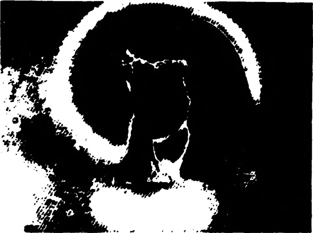 An illustration from Real-Time Optical Image Processing Techniques, 1988, leaf 272