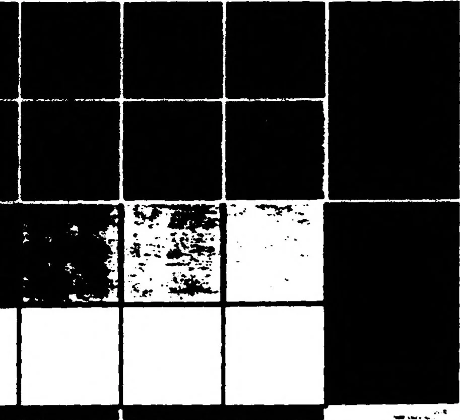 An illustration from Real-Time Optical Image Processing Techniques, 1988, leaf 294