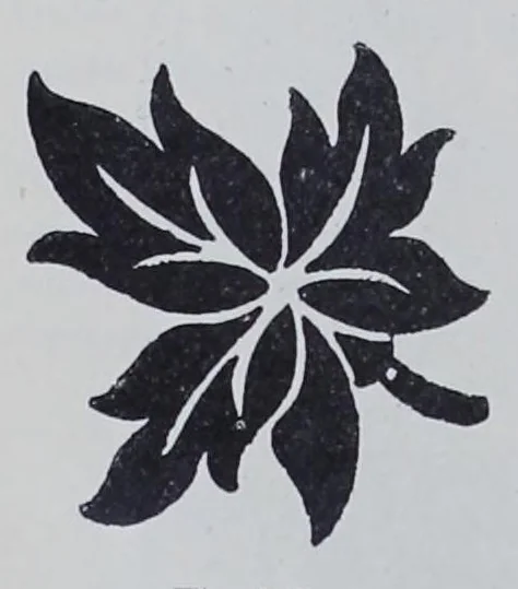 An illustration from Textile Design and Colour; Elementary Weave and Figured Fabrics, 1912, leaf 314