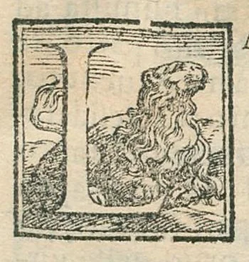 An illustration from Il mostruosissimo mostro. Di Giovanni de' Rinaldi, diviso in due Trattati, nel primo de' quali si ragiona del significato de' colori, nel secondo si tratta dell'herbe, et fiori, 1584, leaf 4