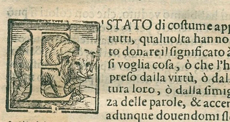 An illustration from Il mostruosissimo mostro. Di Giovanni de' Rinaldi, diviso in due Trattati, nel primo de' quali si ragiona del significato de' colori, nel secondo si tratta dell'herbe, et fiori, 1584, leaf 61