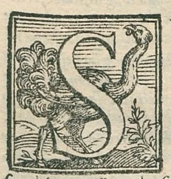 An illustration from Il mostruosissimo mostro. Di Giovanni de' Rinaldi, diviso in due Trattati, nel primo de' quali si ragiona del significato de' colori, nel secondo si tratta dell'herbe, et fiori, 1584, leaf 8
