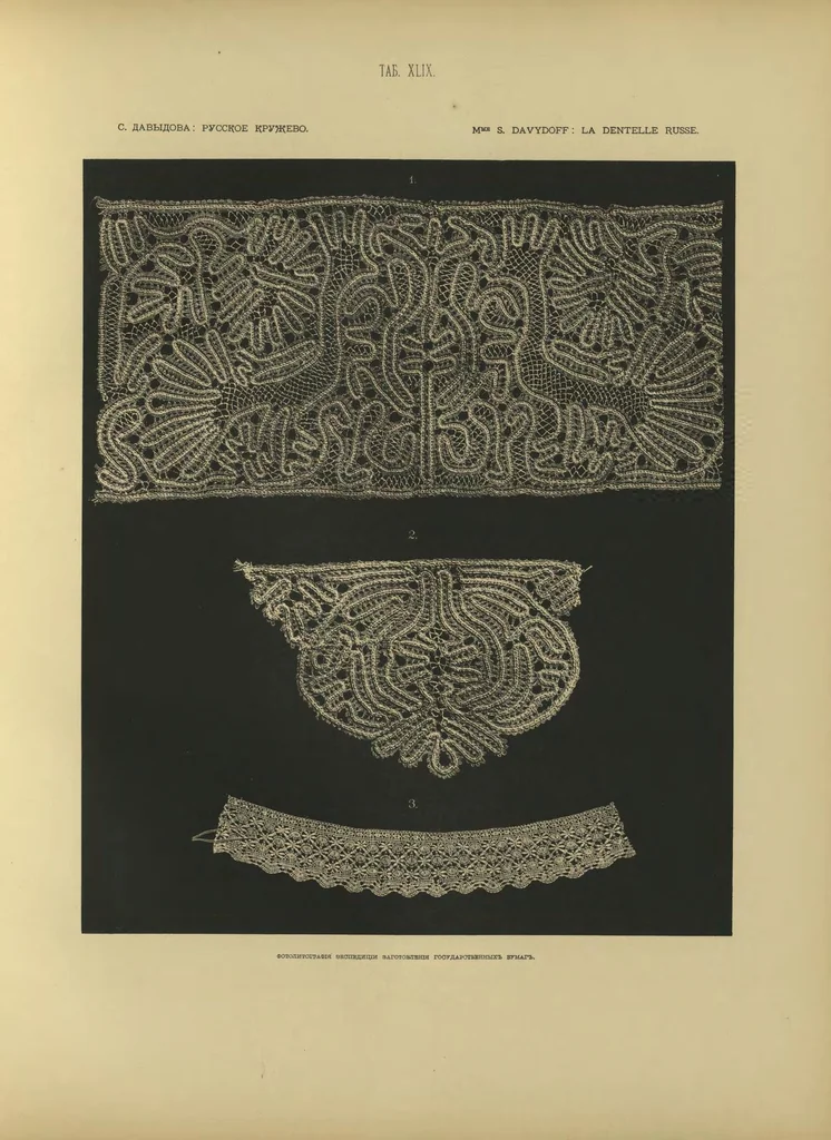 An illustration from La dentelle russe : histoire technique statistique, 1895, leaf 144