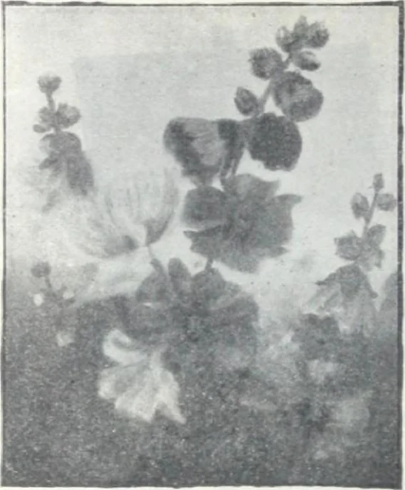 An illustration from Descriptive catalogue 1914 : Frost & Adams Co. importers and dealers in artists' materials, architects', engineers' draughtsmen's supplies, mathematical instruments and pyrography requisites., 1914, leaf 55