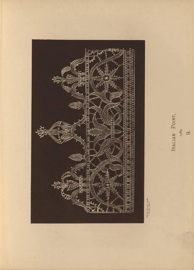 An illustration from Designs for lace making, 1870, leaf 30