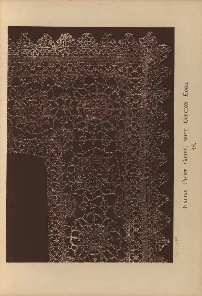 An illustration from Designs for lace making, 1870, leaf 46
