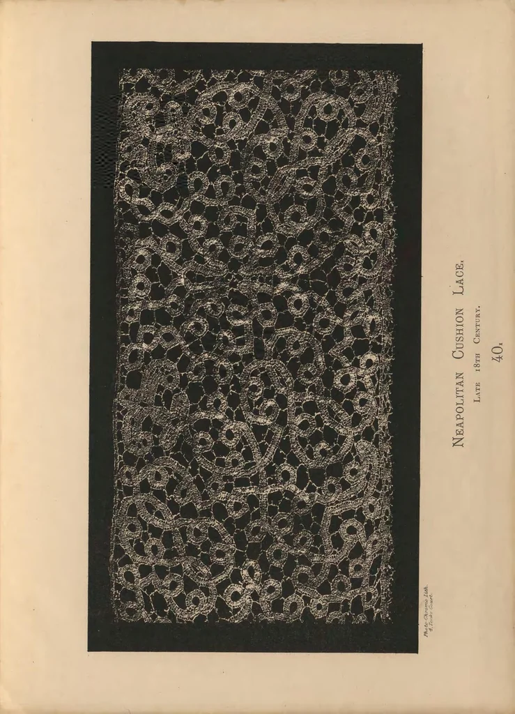 An illustration from Designs for lace making, 1870, leaf 90