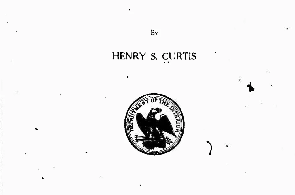 An illustration from ERIC ED543040: The Reorganized School Playground. Bulletin, 1912, No. 16. Whole Number 488, 1912, leaf 0