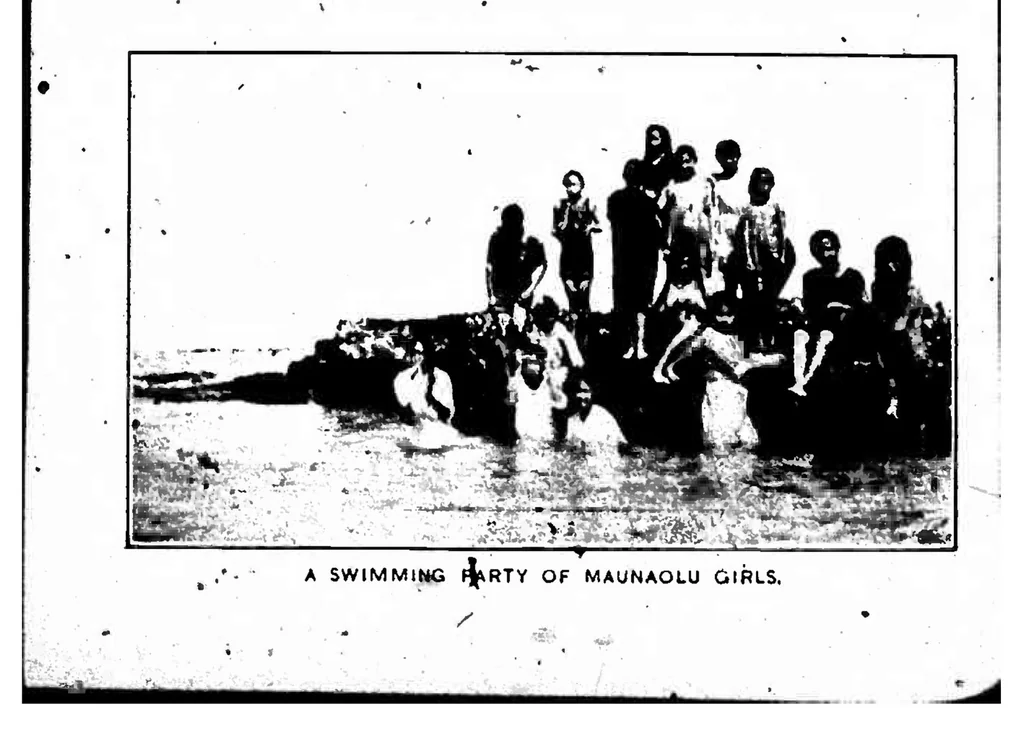 An illustration from ERIC ED543381: A Survey of Education in Hawaii. Bulletin, 1920, No. 16, 1920, leaf 253