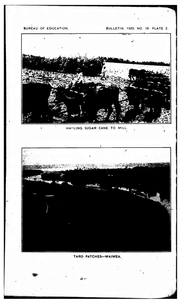 An illustration from ERIC ED543381: A Survey of Education in Hawaii. Bulletin, 1920, No. 16, 1920, leaf 35