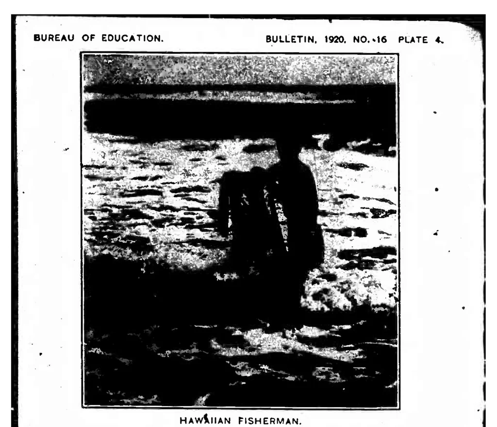 An illustration from ERIC ED543381: A Survey of Education in Hawaii. Bulletin, 1920, No. 16, 1920, leaf 37