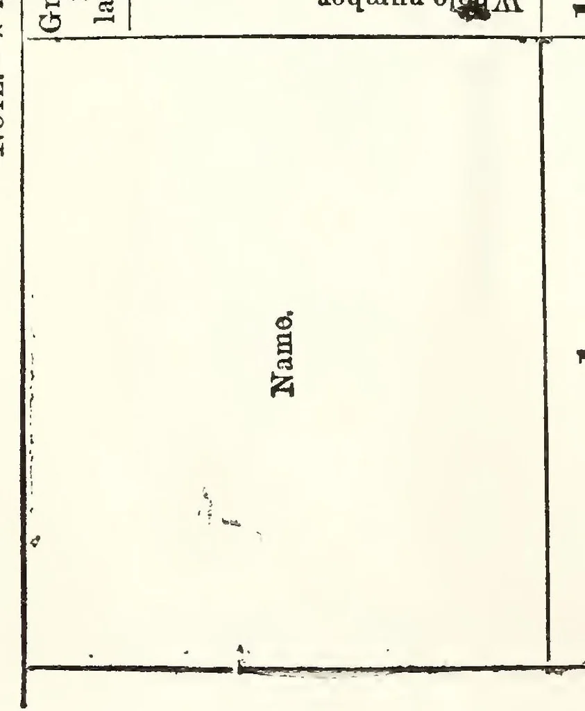 An illustration from ERIC ED617317: Report of the Commissioner of Education for the Year 1882-'83, 1884, leaf 685