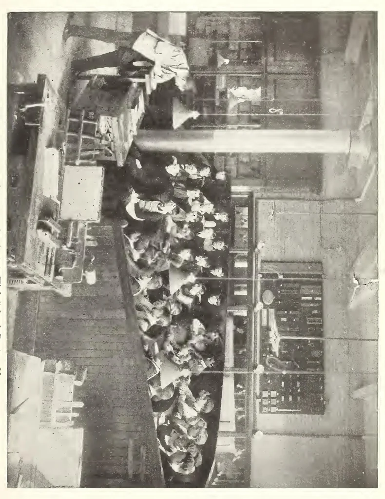 An illustration from ERIC ED619960: Report of the Commissioner of Education for the Year 1903. Volume 1, 1905, leaf 1150