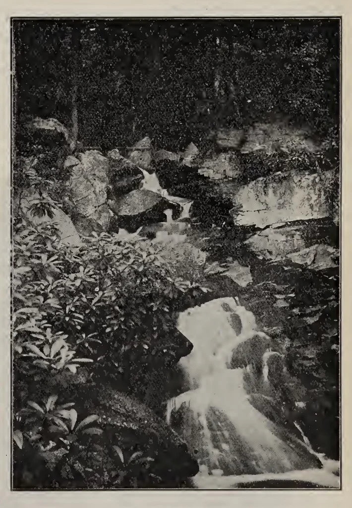 An illustration from ERIC ED622659: Teachers Magazine. Volume XXIX, 1907, leaf 700