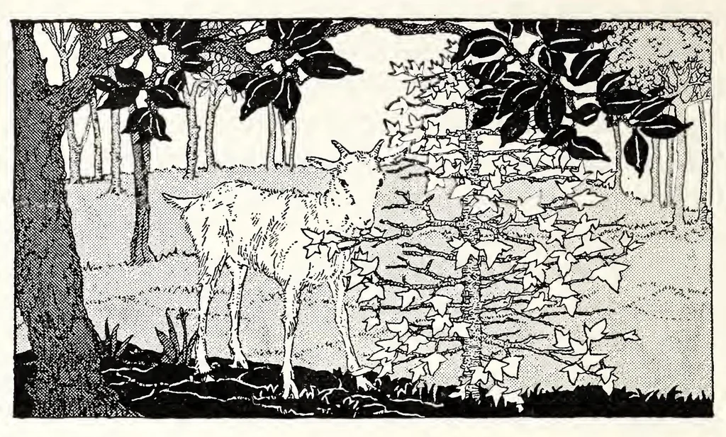 An illustration from ERIC ED623122: Essential Language Habits: A New Edition in Color. Book One, 1929, leaf 131
