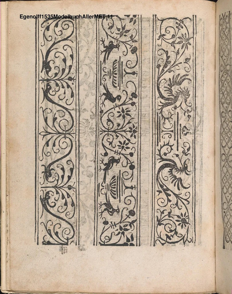 An illustration from Modelbuch aller art nehens und stickens, 1535, leaf 10