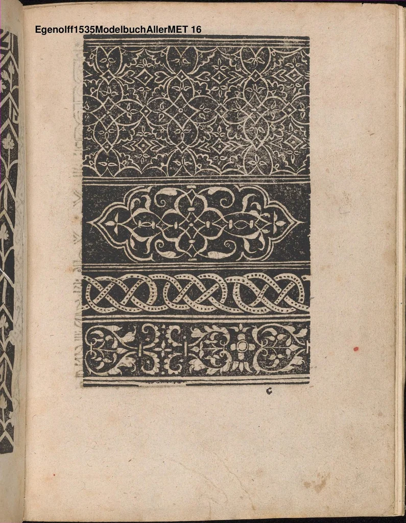 An illustration from Modelbuch aller art nehens und stickens, 1535, leaf 15