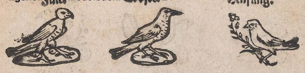 An illustration from Modelbuch aller art nehens und stickens, 1535, leaf 23