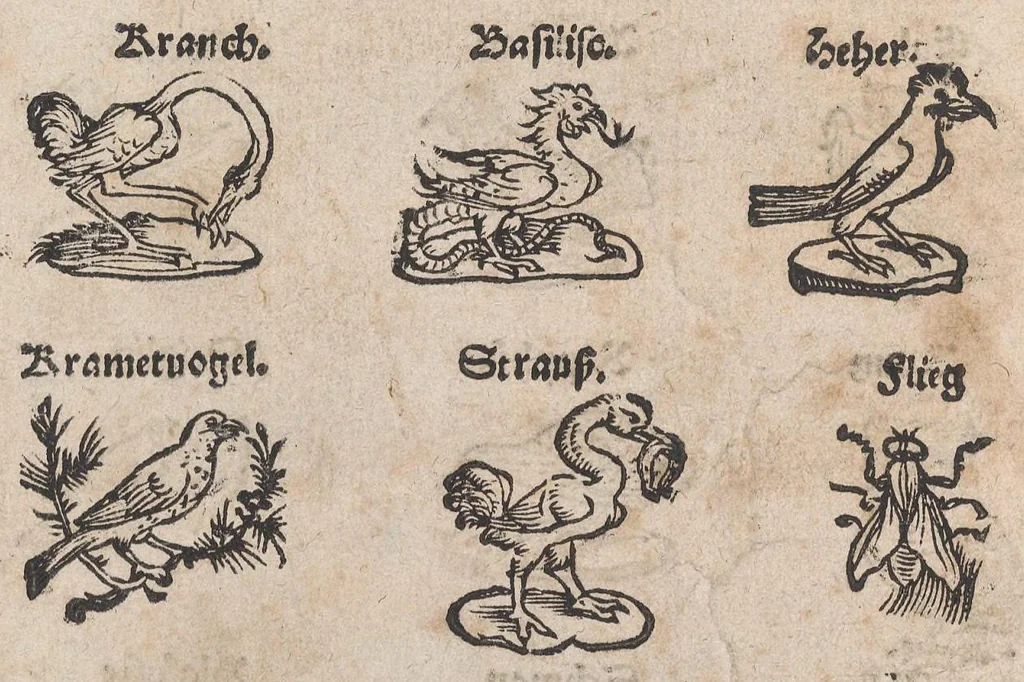 An illustration from Modelbuch aller art nehens und stickens, 1535, leaf 24