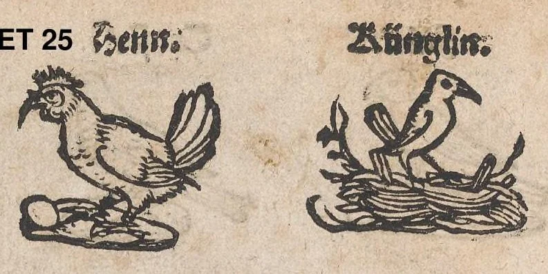 An illustration from Modelbuch aller art nehens und stickens, 1535, leaf 24